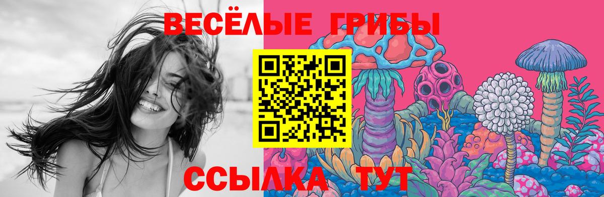 Кисловодск  Галлюциногенные грибы прущие грибы  Вход с VPN  Галлюциногенные грибы MAGIC MUSHROOMS 